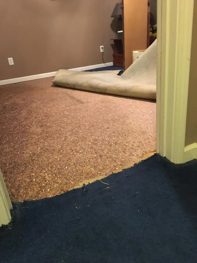 Carpet pad removal revealing water damage during Water Mitigation Services in Rib Mountain