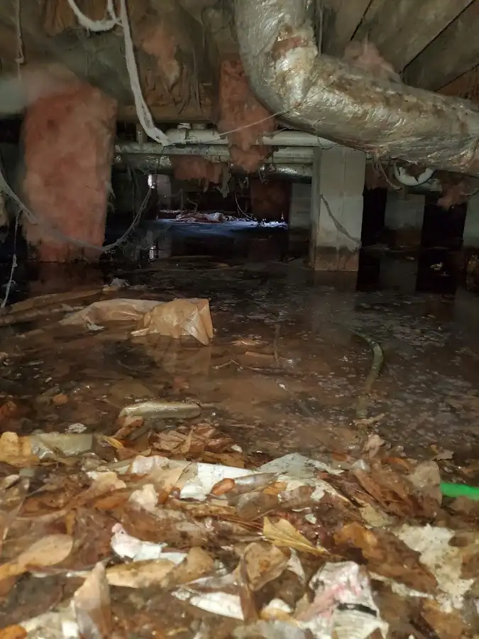 Crawl space flood assessment for Commercial Water Damage Restoration in Rib Mountain
